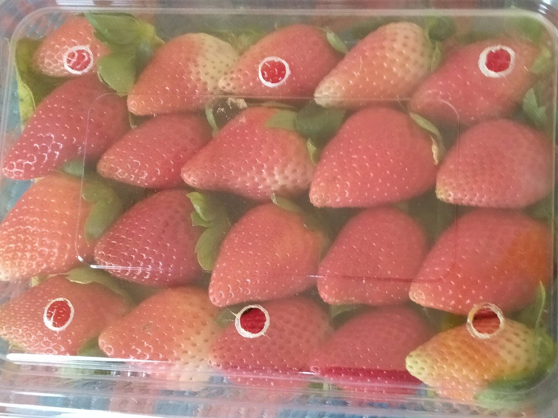 Prathima variety for sale in Satara, Maharashtra