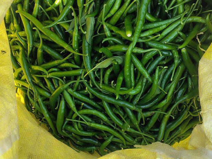 G4 Chilli for sale in Chhatrapati Sambhajinagar, Maharashtra