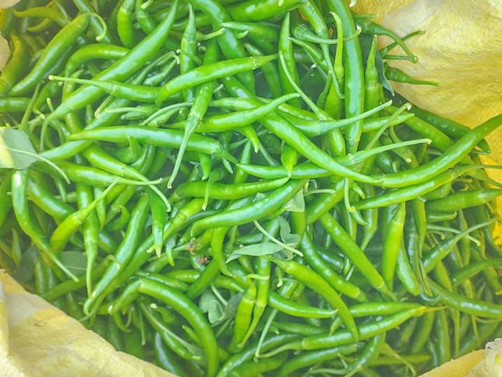 G4 Chilli for sale in Chhatrapati Sambhajinagar, Maharashtra