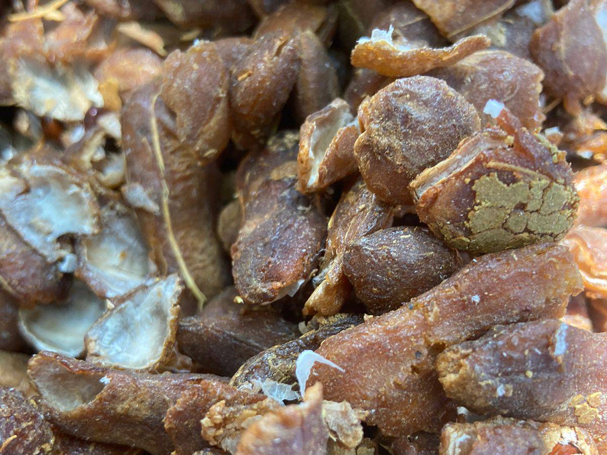 Sour Tamarind बिक्री के लिए, सांगली, महाराष्ट्र