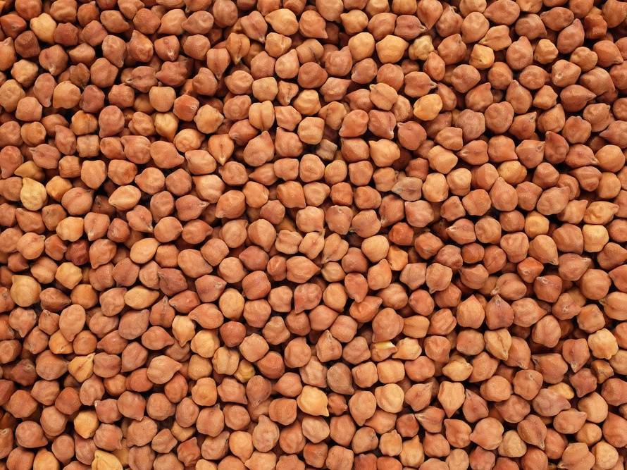 चणे Desi Chickpeas