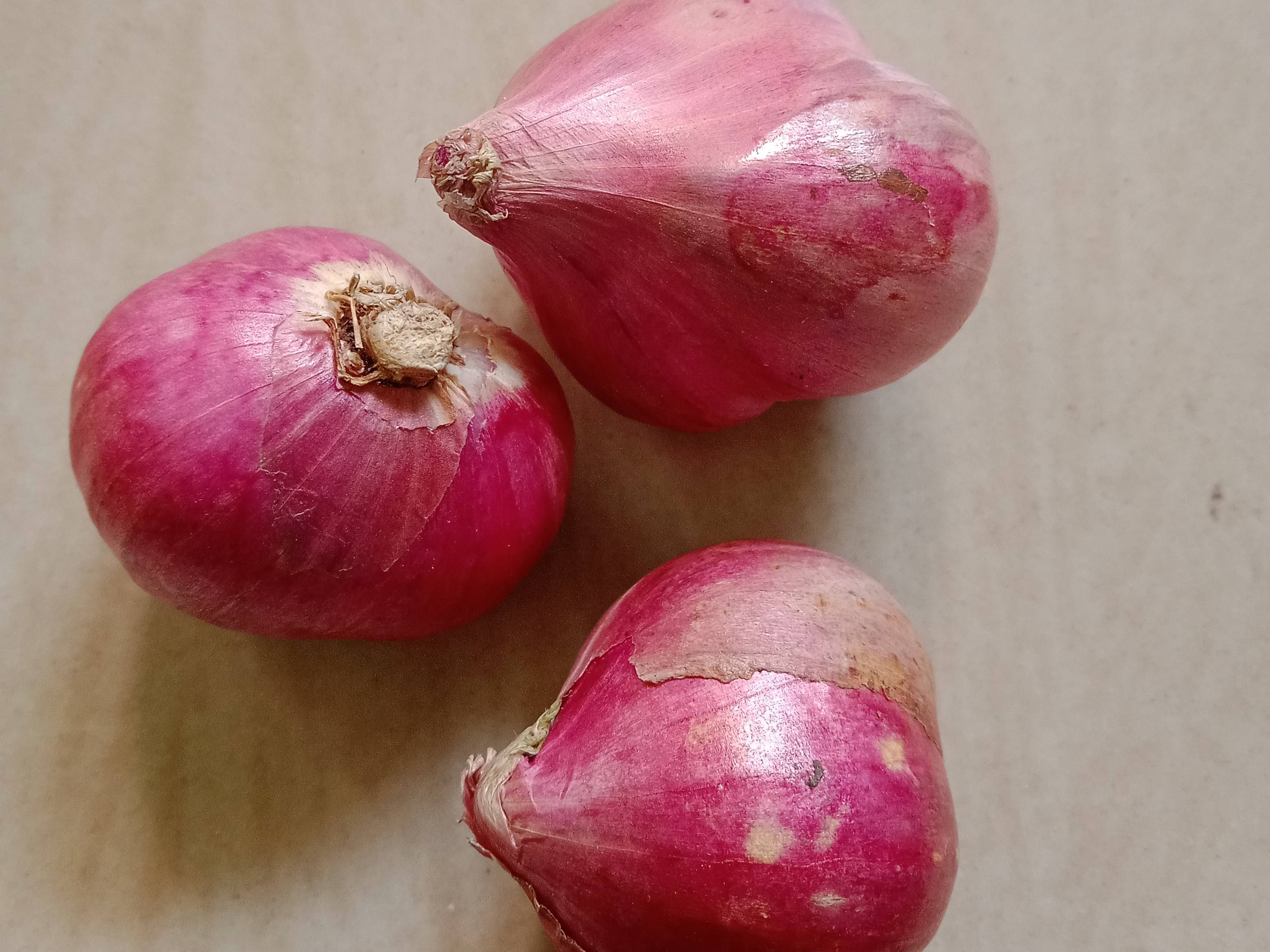 Shallots बिक्री के लिए, अरियलूर, तमिलनाडु