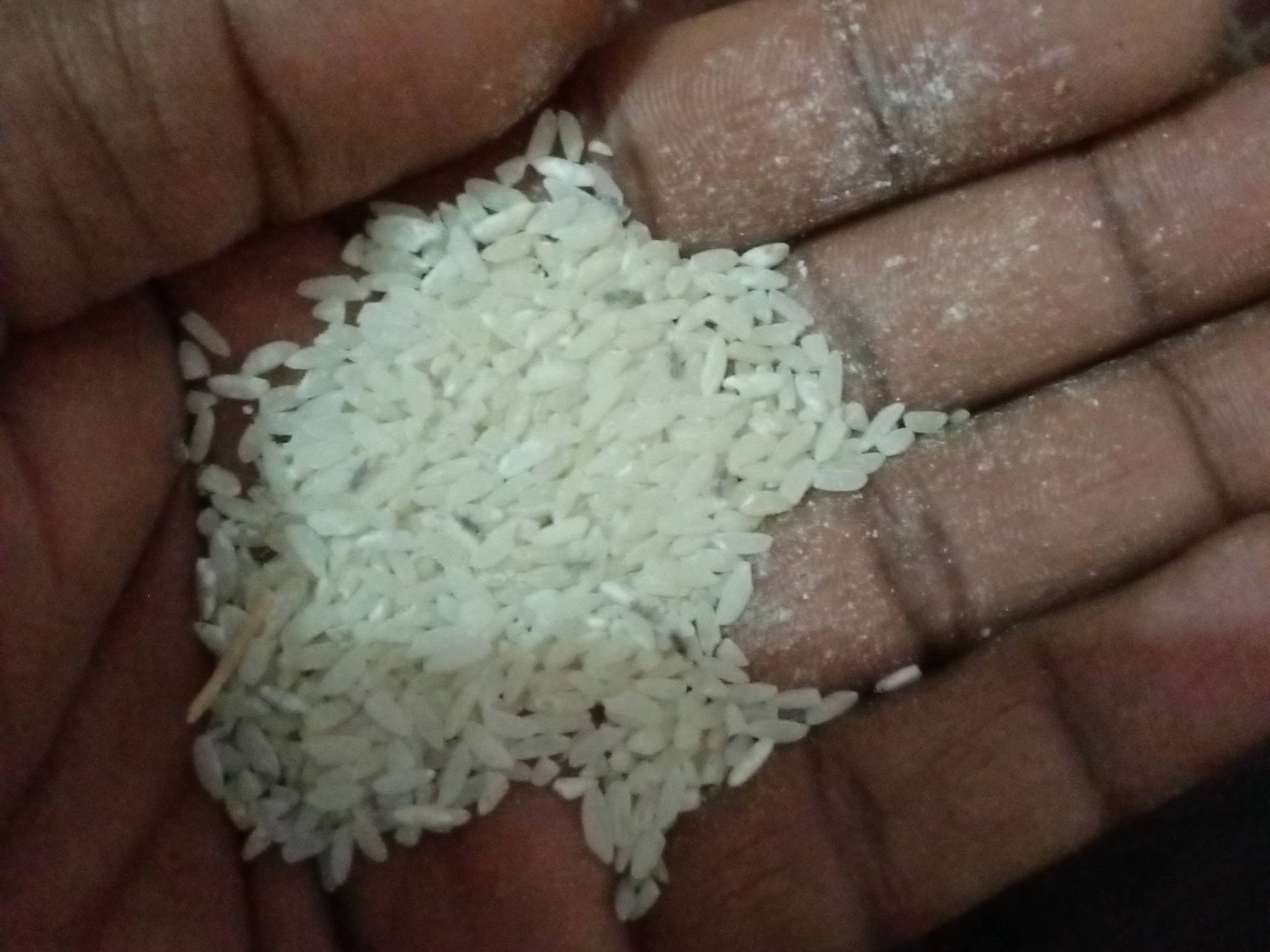 Sona Masoori for sale in Siddharthnagar, Uttar Pradesh