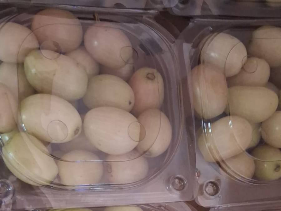 White jamun विक्रीसाठी, पुणे, महाराष्ट्र