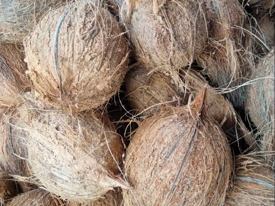 Fine Desiccated Coconut for sale in Haveri, Karnataka