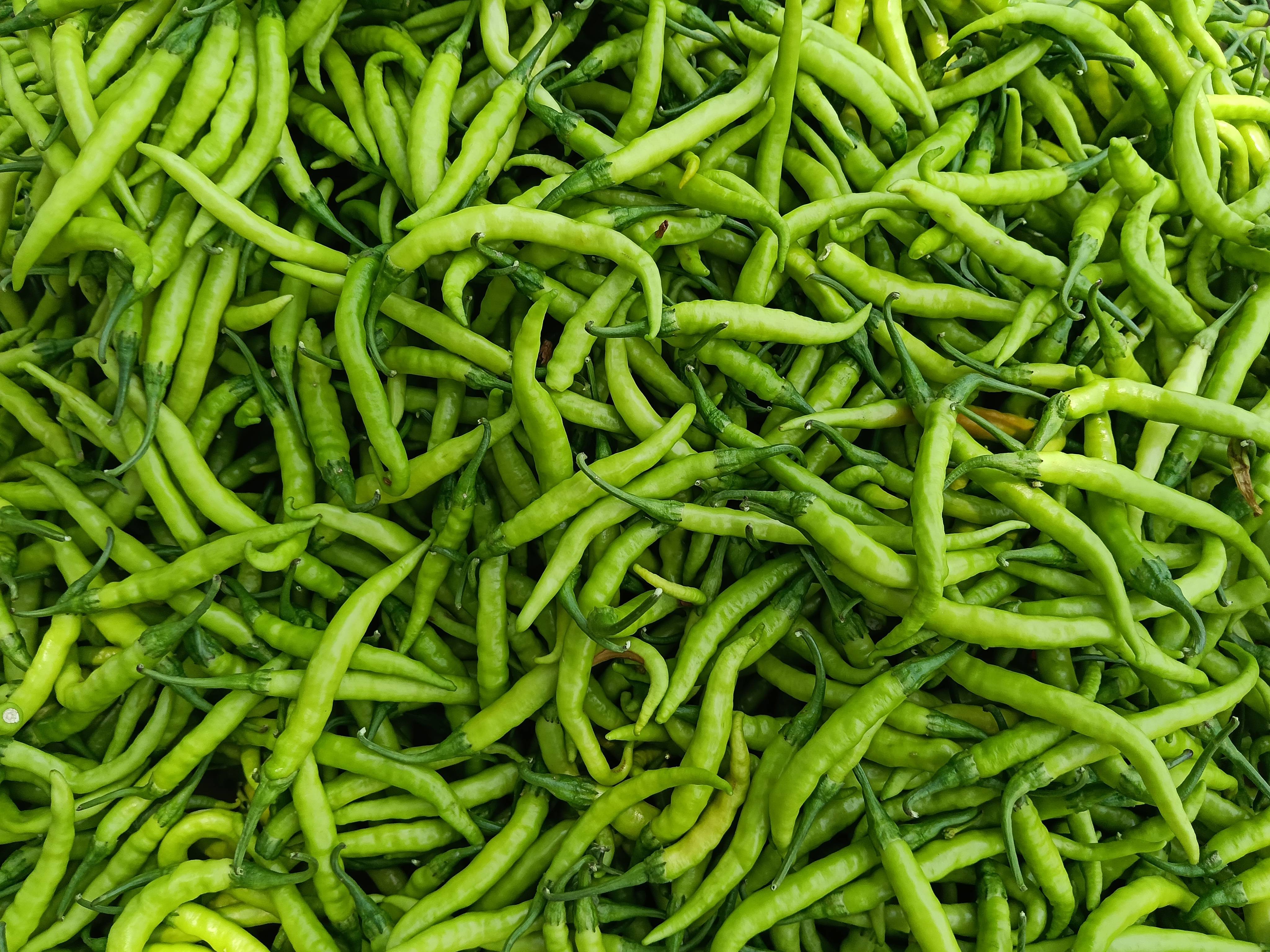 Green Chilli विक्रीसाठी, बीड, महाराष्ट्र