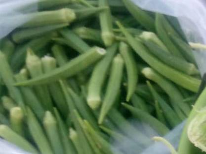 Long Brinjal for sale in Nandurbar, Maharashtra
