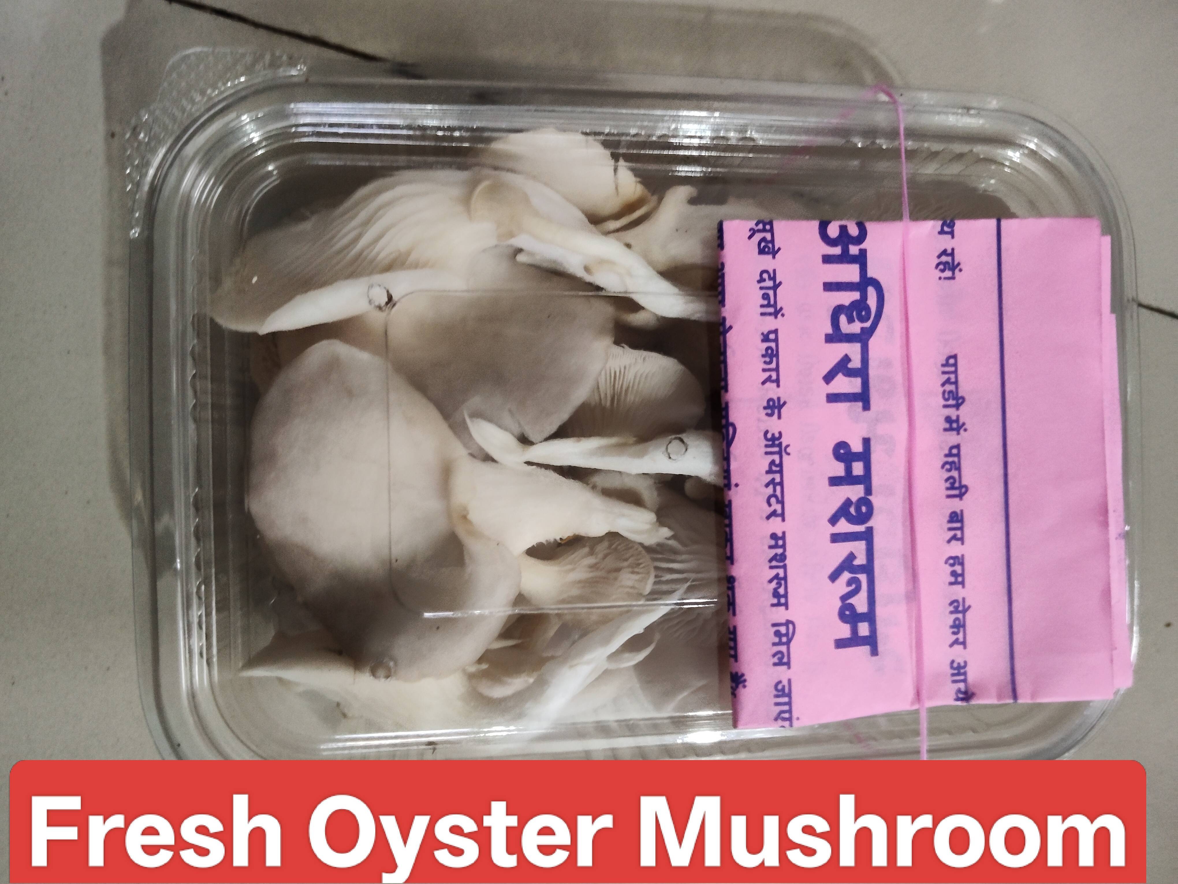 Oyster Mushroom for sale in Valsad, Gujarat