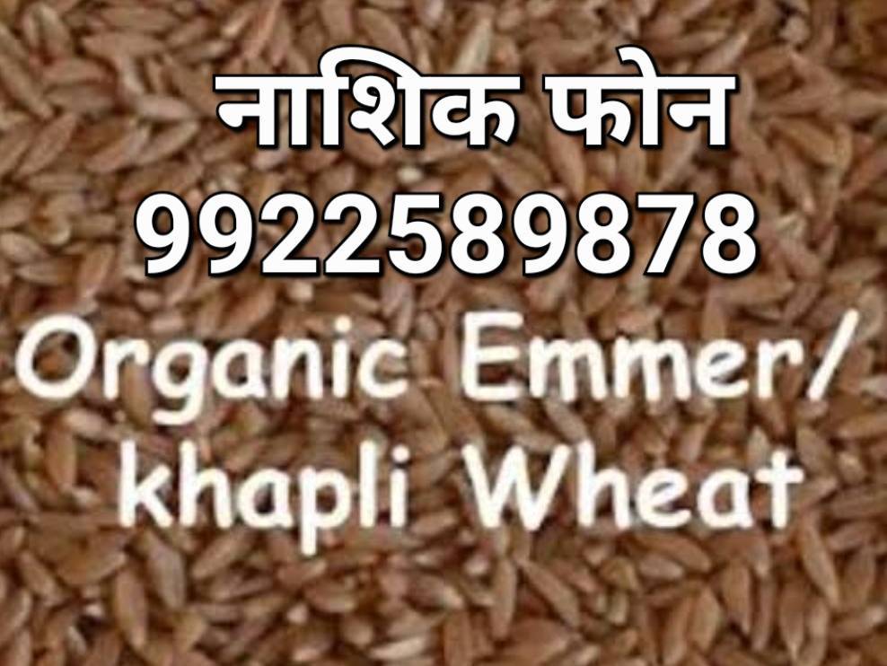 Durum विक्रीसाठी, नाशिक, महाराष्ट्र