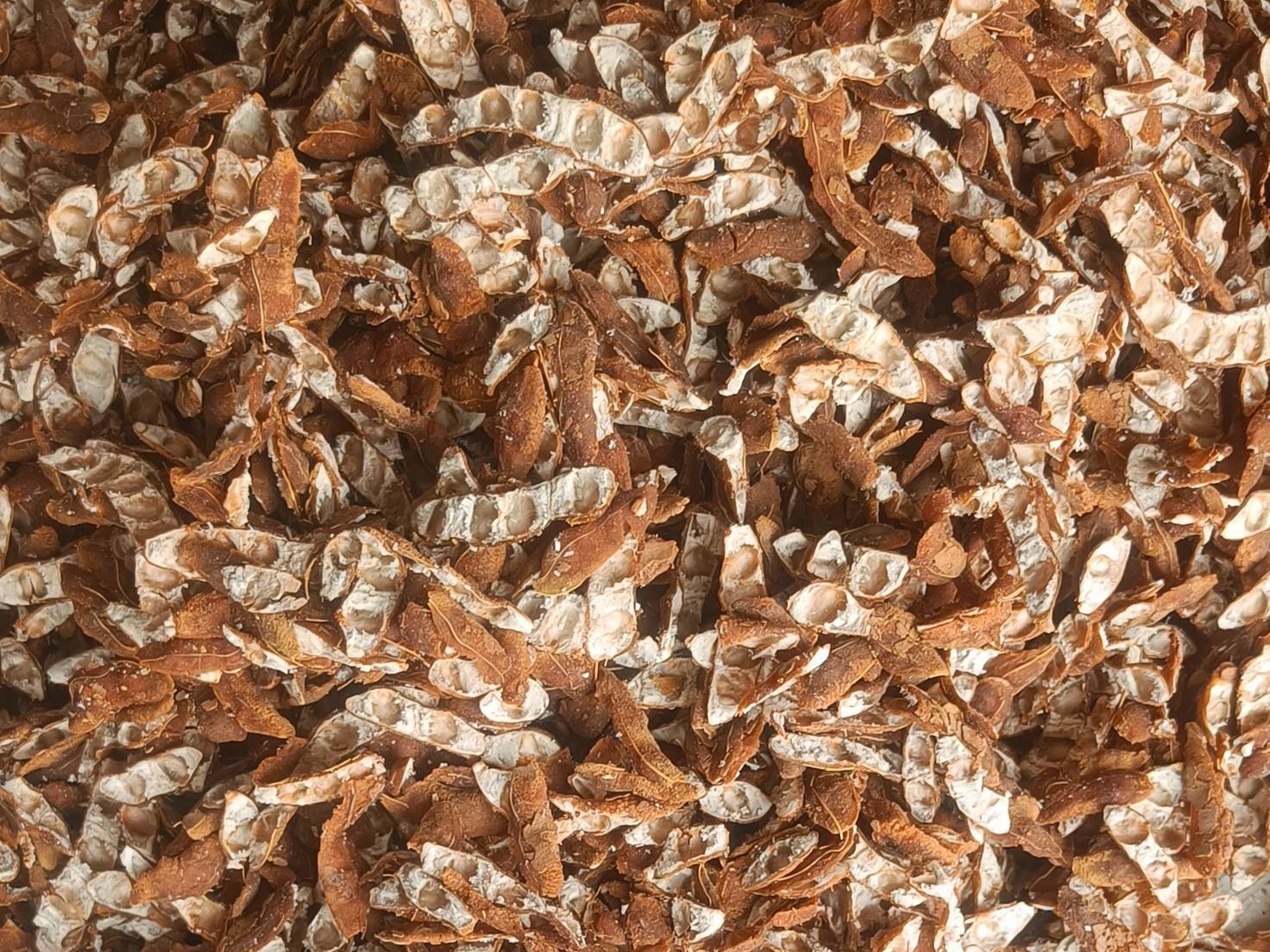 Sour Tamarind for sale in Nashik, Maharashtra