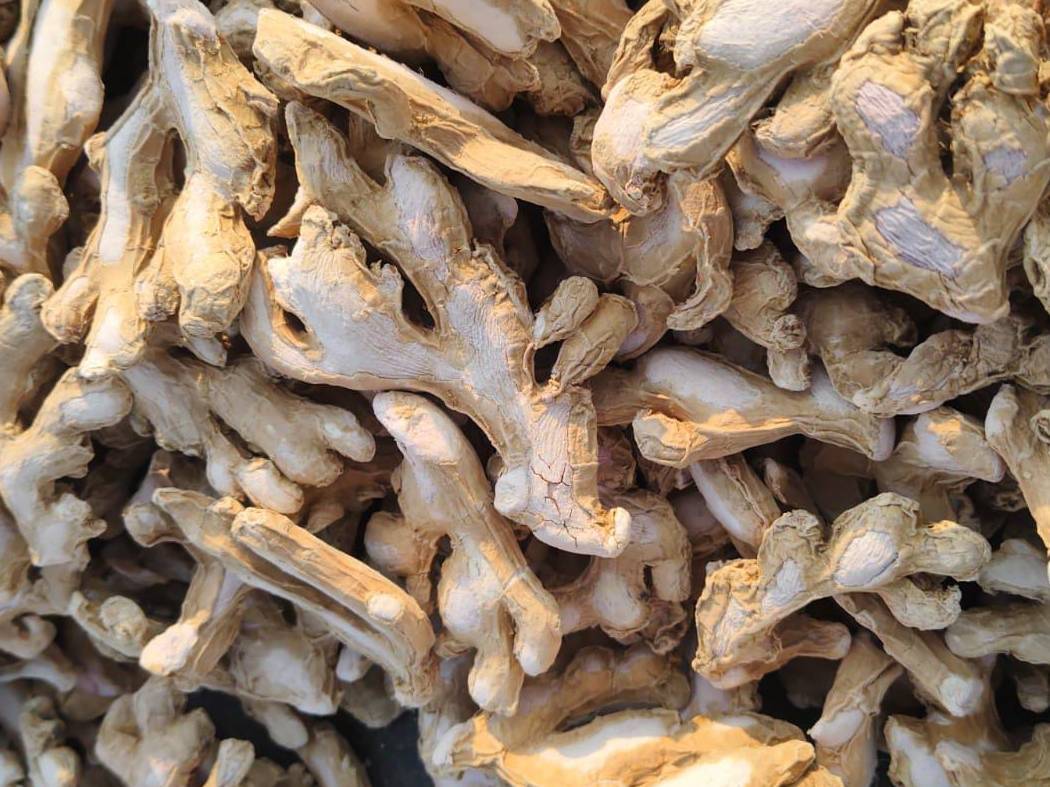 Dried Ginger for sale in Mysore, Karnataka