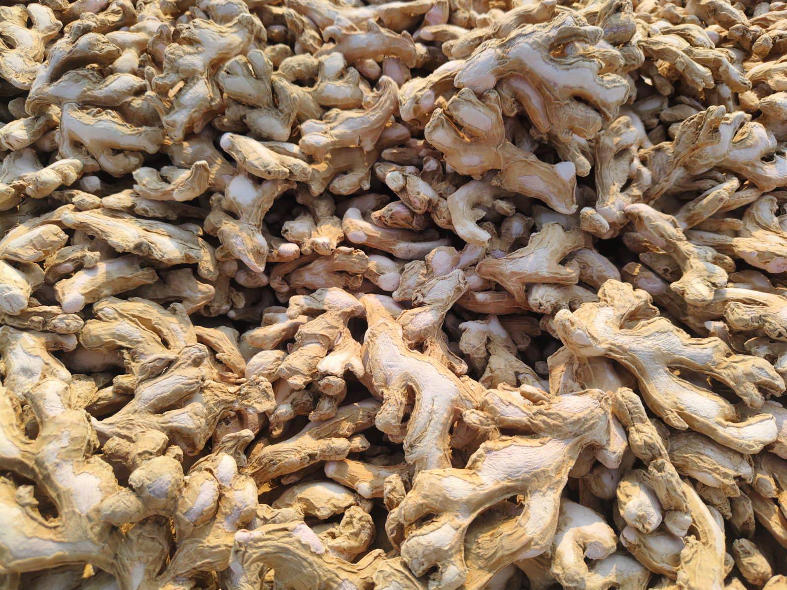 Dried Ginger for sale in Mysore, Karnataka