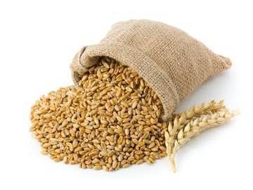 Durum बिक्री के लिए, नासिक, महाराष्ट्र