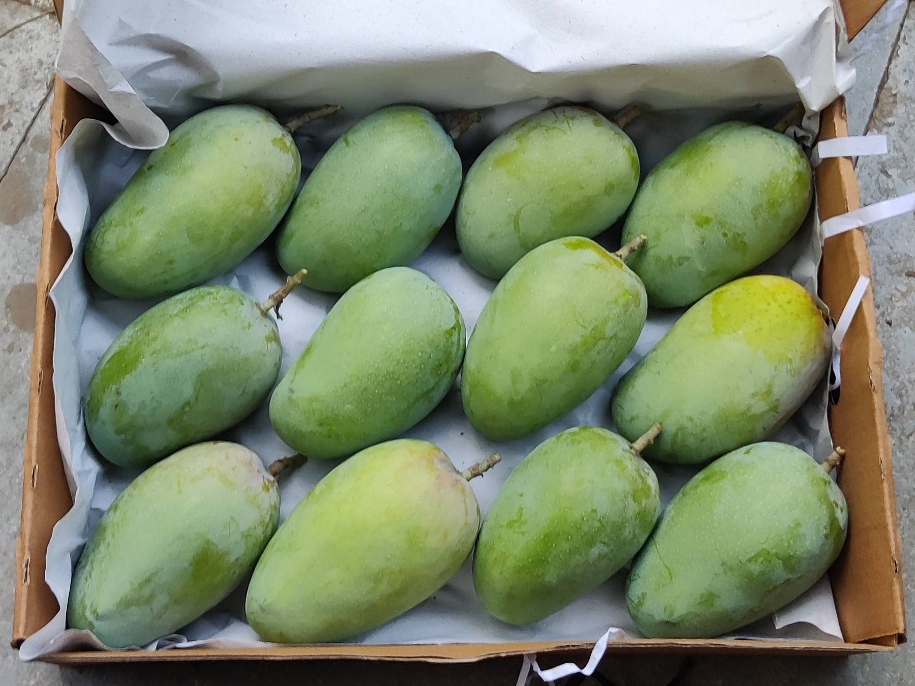 Kesar बिक्री के लिए, पुणे, महाराष्ट्र