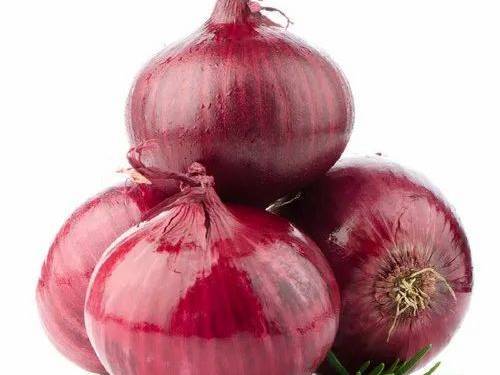 Red Onion for sale in Nashik, Maharashtra