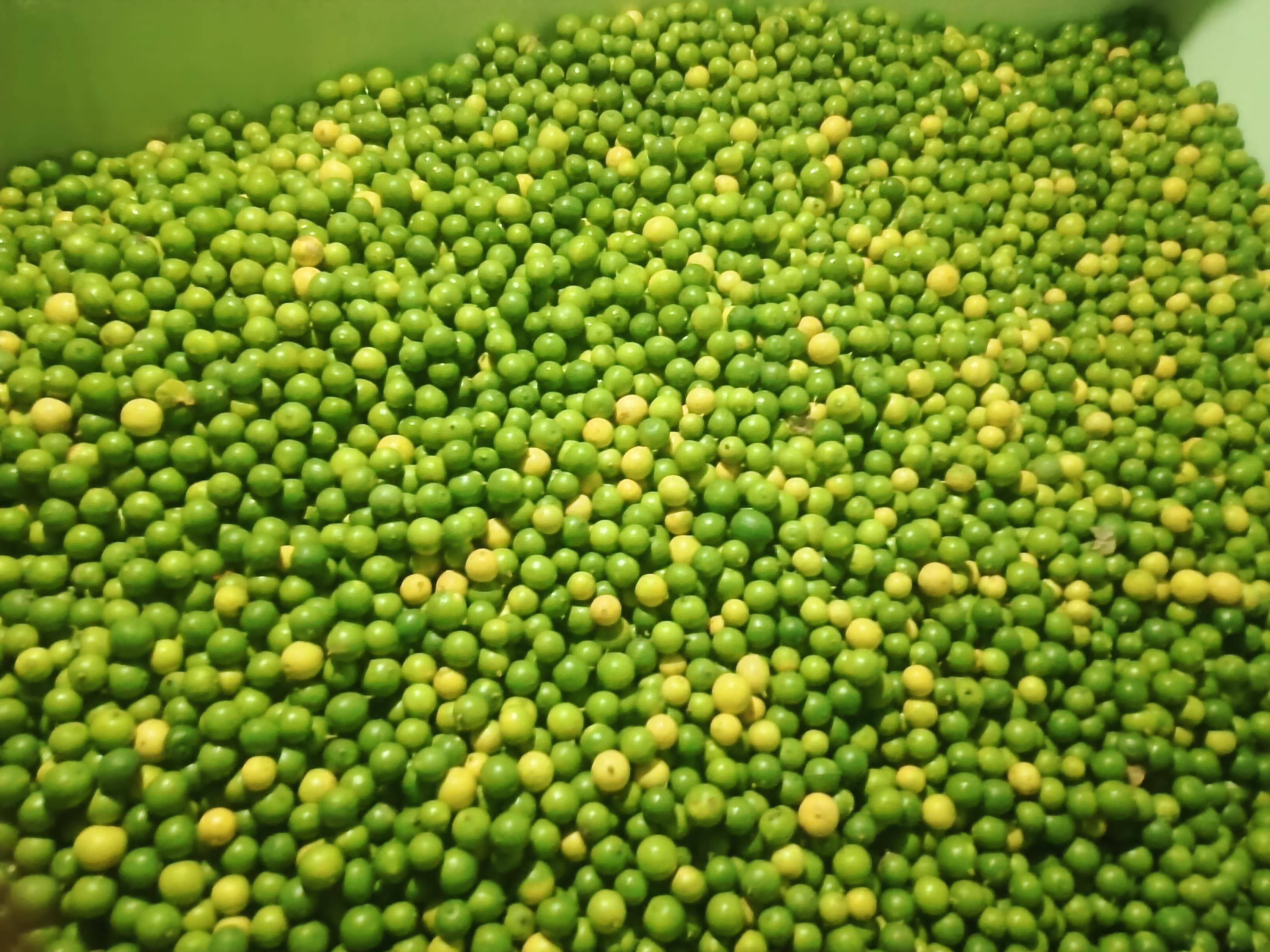 Gondhoraj Lemon विक्रीसाठी, अहिल्यानगर, महाराष्ट्र