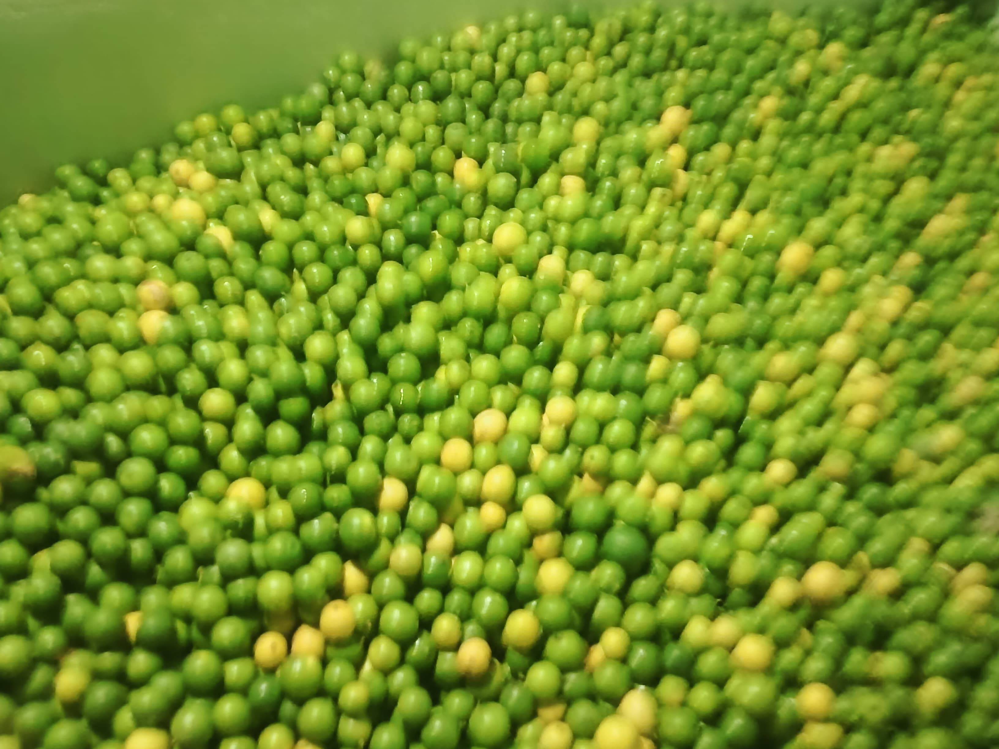 Gondhoraj Lemon विक्रीसाठी, अहिल्यानगर, महाराष्ट्र