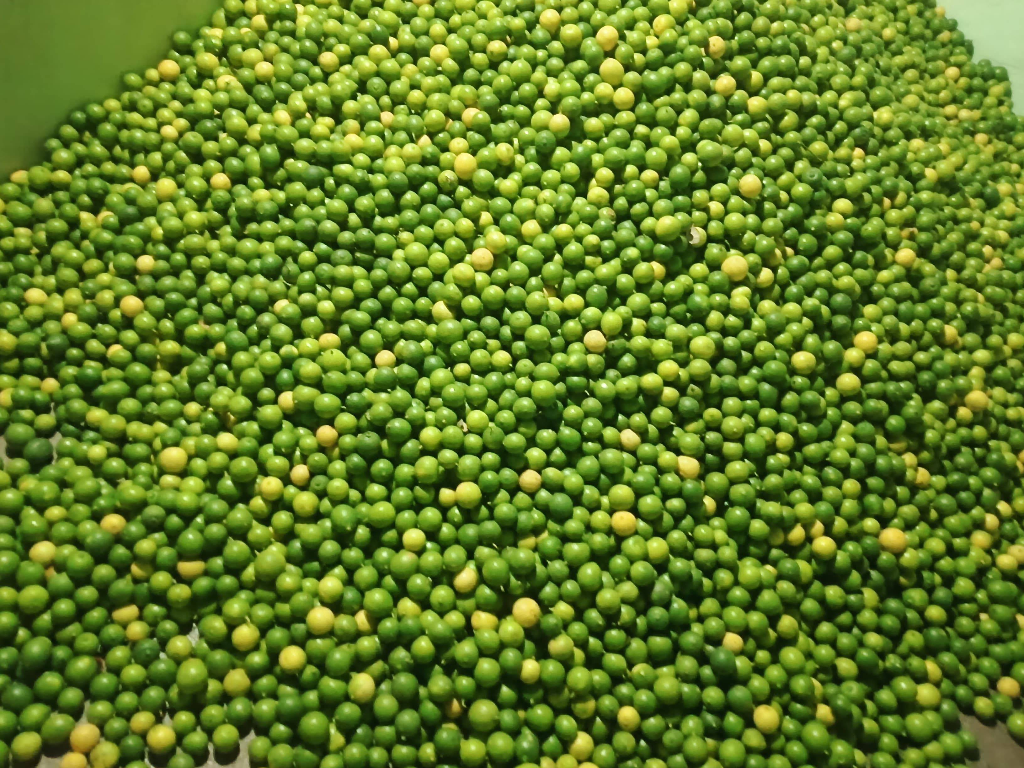 Gondhoraj Lemon विक्रीसाठी, अहिल्यानगर, महाराष्ट्र