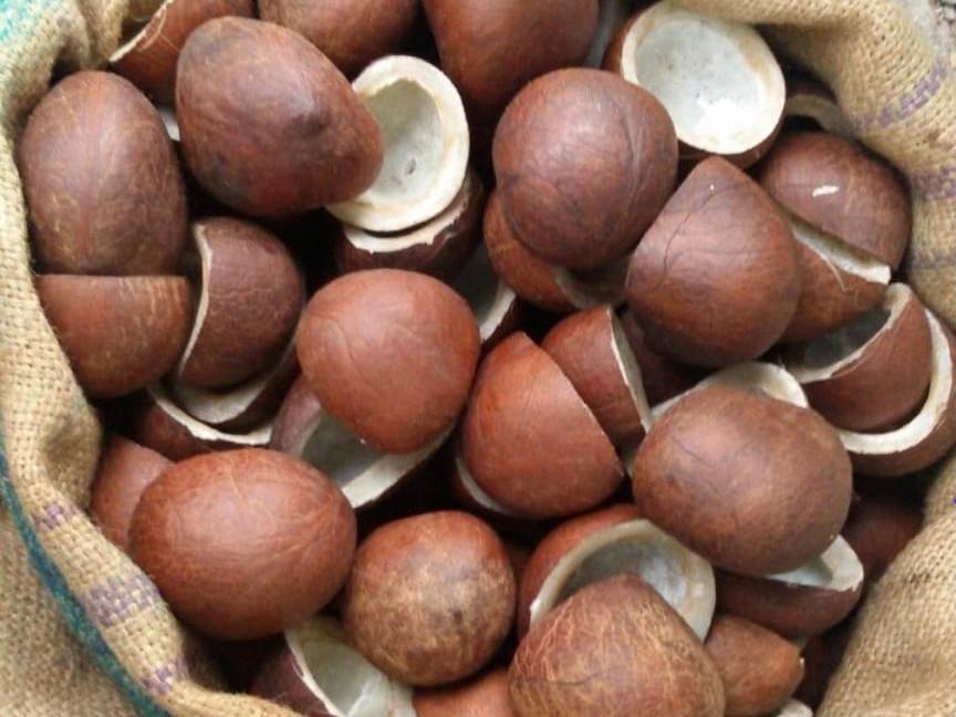 Edible Copra for sale in Kannur, Kerala