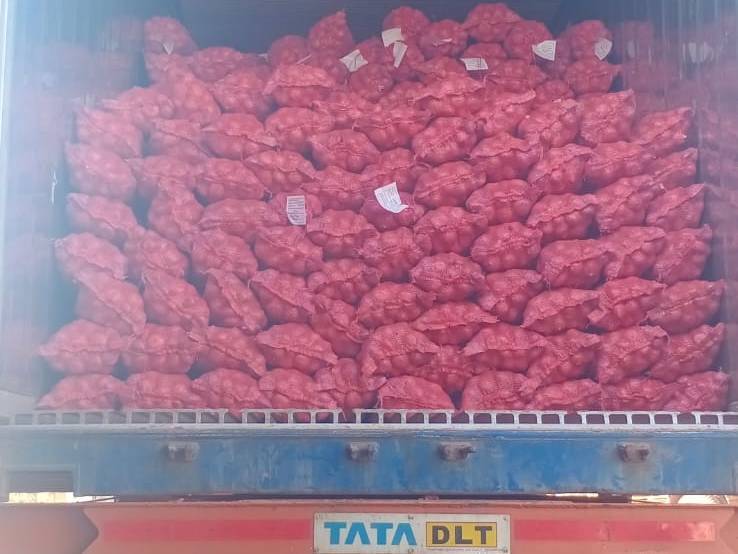 Red Onion विक्रीसाठी, नाशिक, महाराष्ट्र