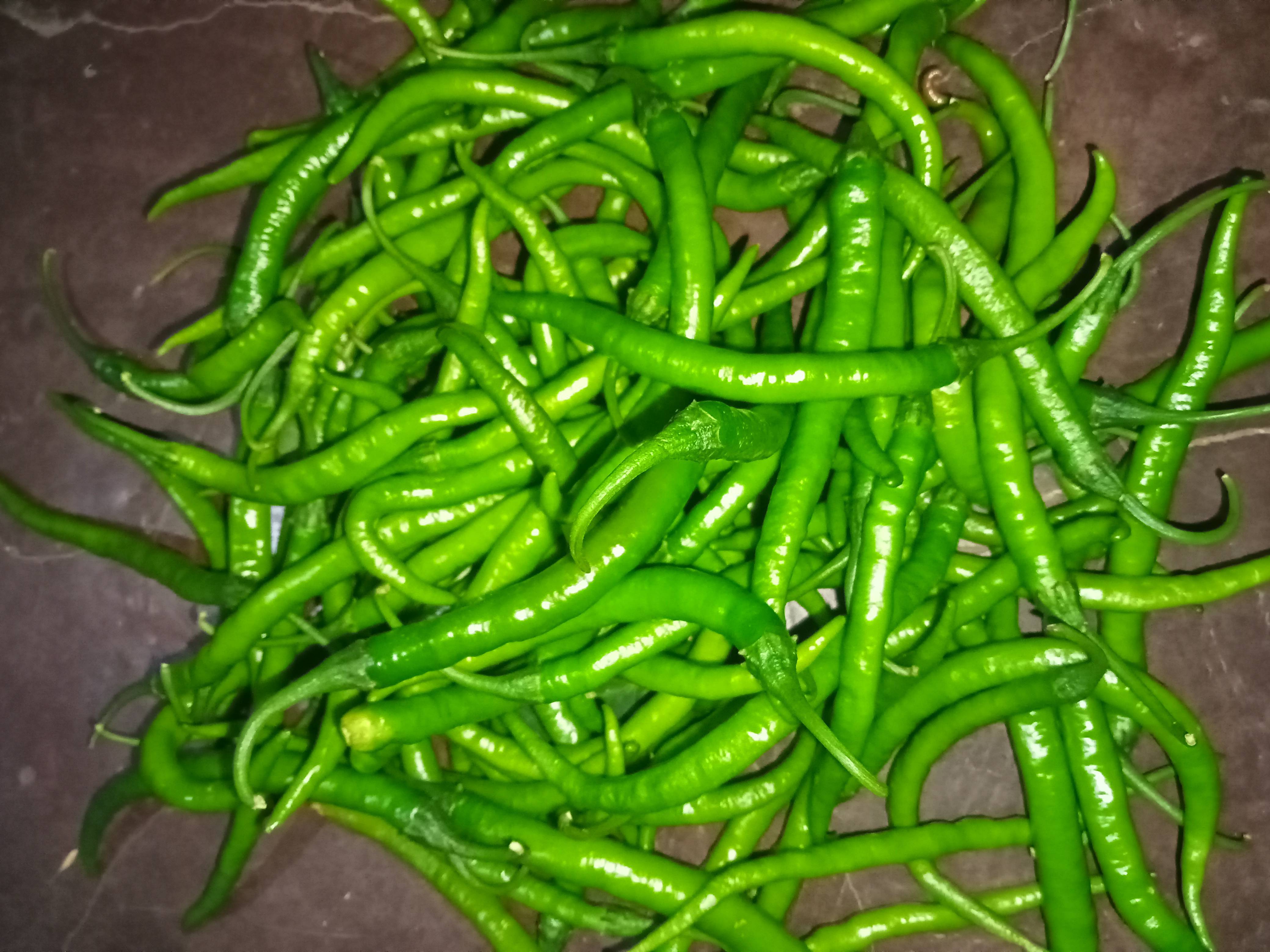 Green Chilli विक्रीसाठी, कोल्हापूर, महाराष्ट्र