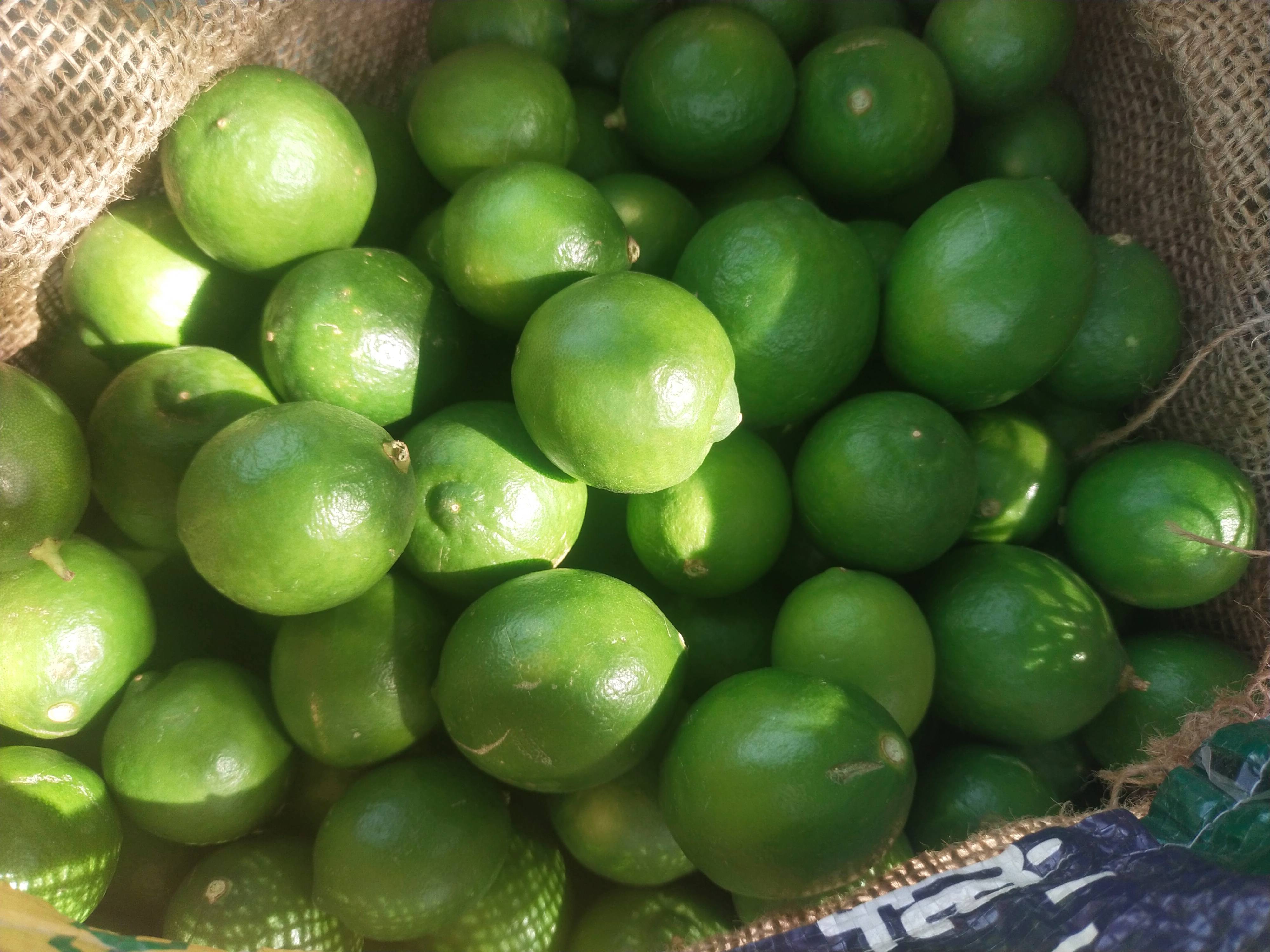 Gondhoraj Lemon for sale in Jalgaon, Maharashtra