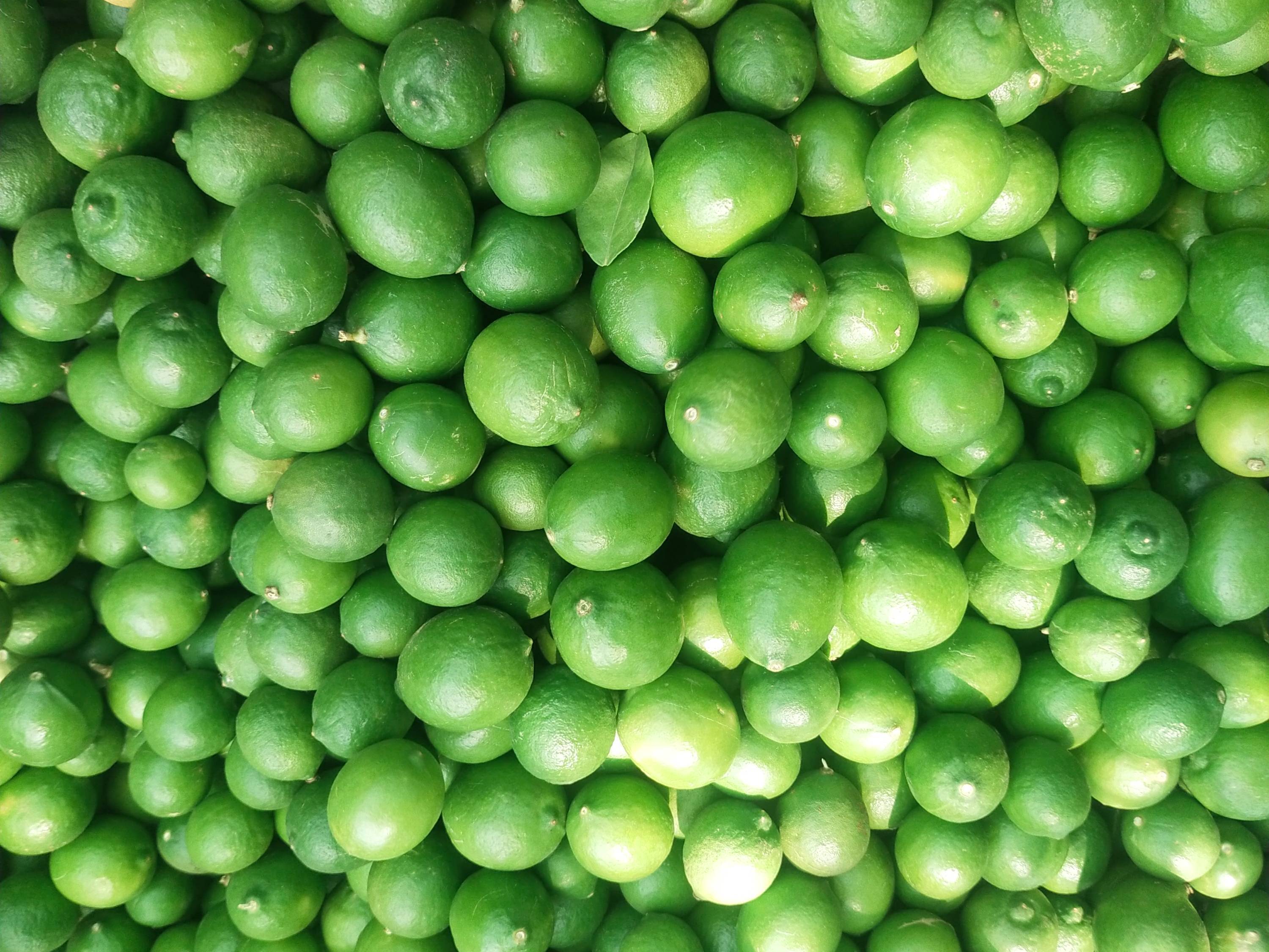Gondhoraj Lemon for sale in Jalgaon, Maharashtra