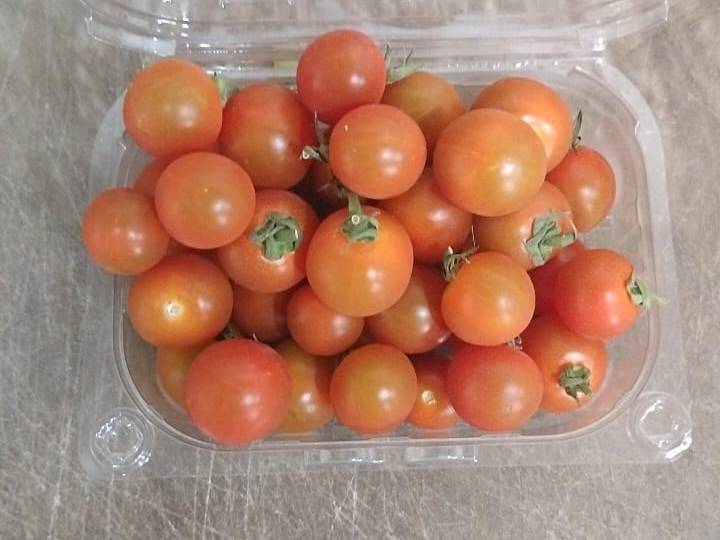 Cherry Tomato for sale in Satara, Maharashtra