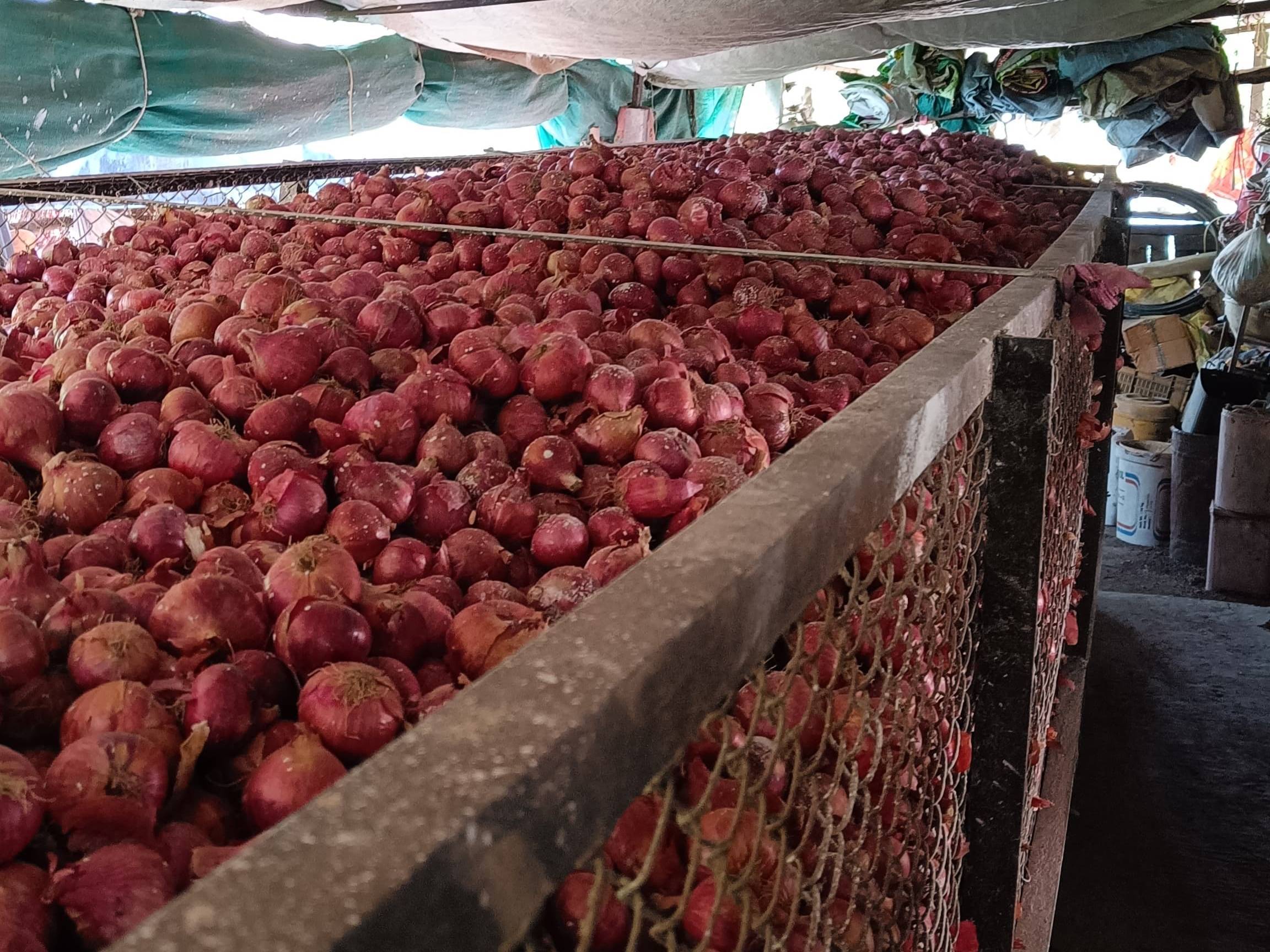 Summer Onion विक्रीसाठी, अहिल्यानगर, महाराष्ट्र