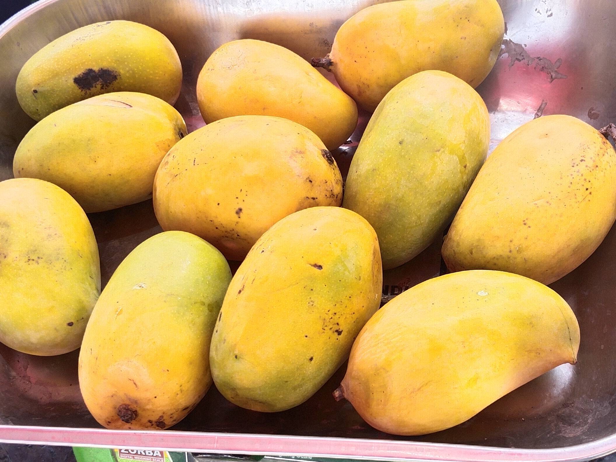 Kesar विक्रीसाठी, अहिल्यानगर, महाराष्ट्र